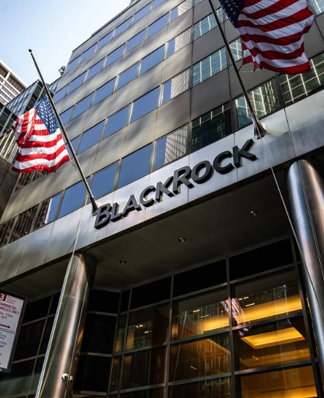 BlackRock Image